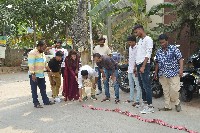 Nallamala Movie Success Celebrations